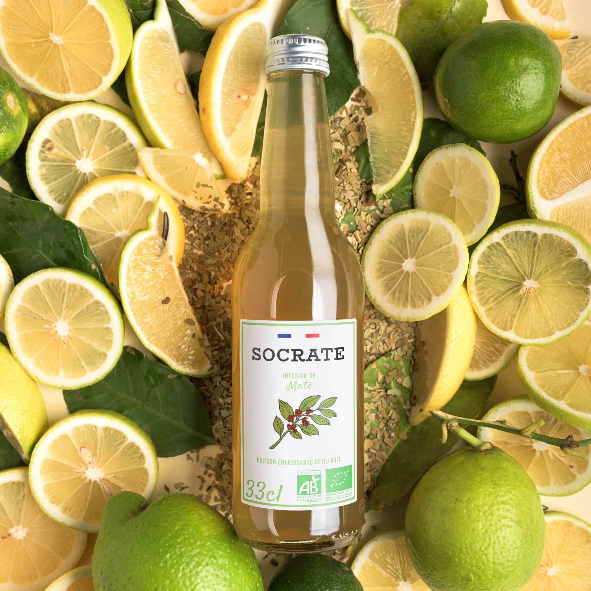 Matè Frizzante al Limone e Agrumi BIOLOGICO 33cl