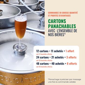 La Succulente - Bière Ambrée (Carton 12x33cl) 4