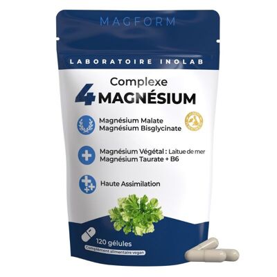Complexe 4 formes de Magnésium (végétal, bisglycinate, taurate & malate) + B6