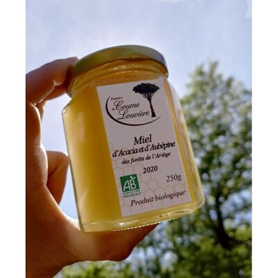 Miel de acacia y espino de los bosques de Ariège