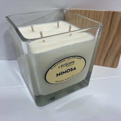SCENTED CANDLE WAX 100% VEGETABLE SOYA - 10X10 4 WICKS 350 G MIMOSA