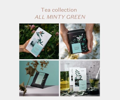 Herbal tea collection ALL MINTY GREEN DESIGN | organic tea | flower tea | minty green packaging | forest tea