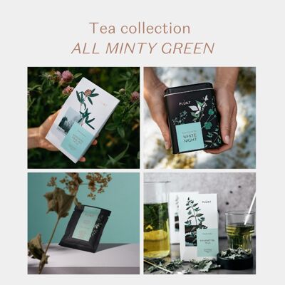 Collection de tisanes ALL MENTHY GREEN DESIGN | thé bio | thé aux fleurs | emballage vert menthe | thé de la forêt