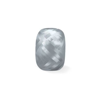 Ruban 24 épis 20m x 5mm argent