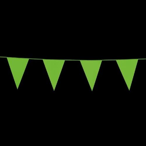 Bunting PE 10m light green size flags: 20x30cm