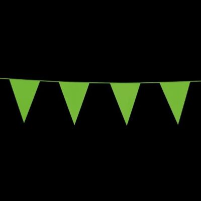Bunting PE 10m vert clair taille drapeaux : 20x30cm