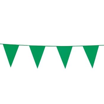 Bunting PE 10m vert taille drapeaux : 20x30cm