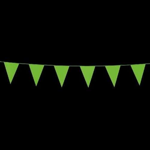 Bunting PE 3m light green size flags:10x15cm