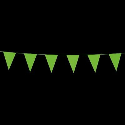 Bunting PE 3m banderas de tamaño verde claro: 10x15cm