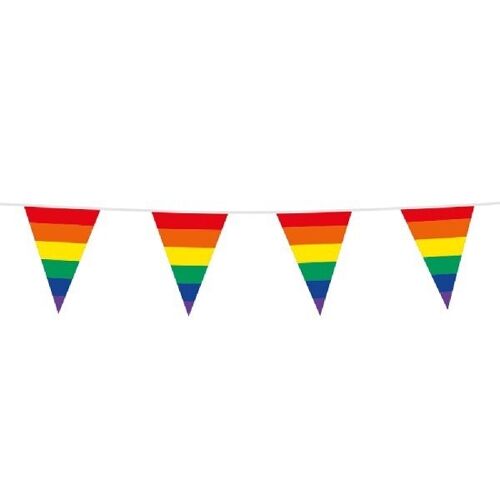 Bunting PE 10m rainbow size flags: 20x 30cm