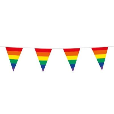 Bandiere formato arcobaleno Bunting PE 10m: 20x 30cm