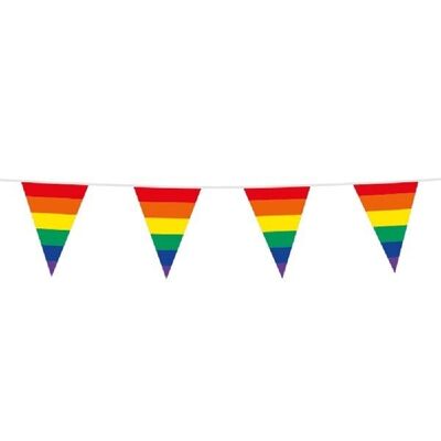 Bunting PE 10m Regenbogenfahnen: 20x 30cm