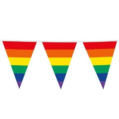 Giant bunting PE 10m rainbow size flags: 30x 45cm