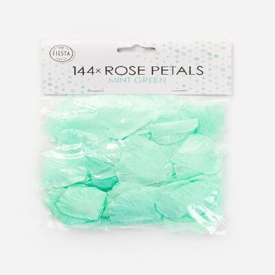 144 Pétales de rose vert menthe