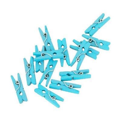 24 Mini pioli legno blu