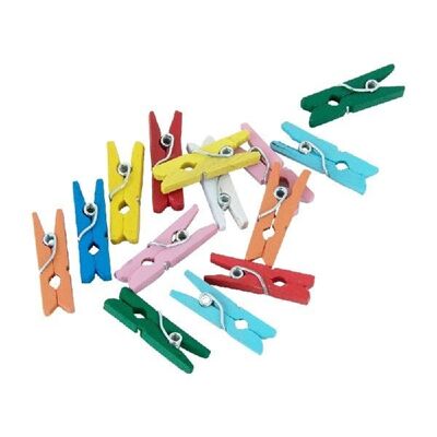 24 Mini pegs wood mixed