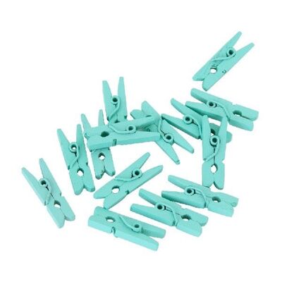 24 Mini pegs wood mint green