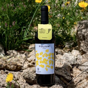 Folium Fiano Salento IGP Vin blanc 2