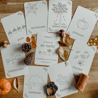 Autumn flashcards - learning about the season while playing