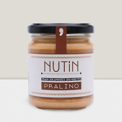 Pâte à Tartiner BIO Nut'In Pralino - Praliné Amandes Noisettes 200gr