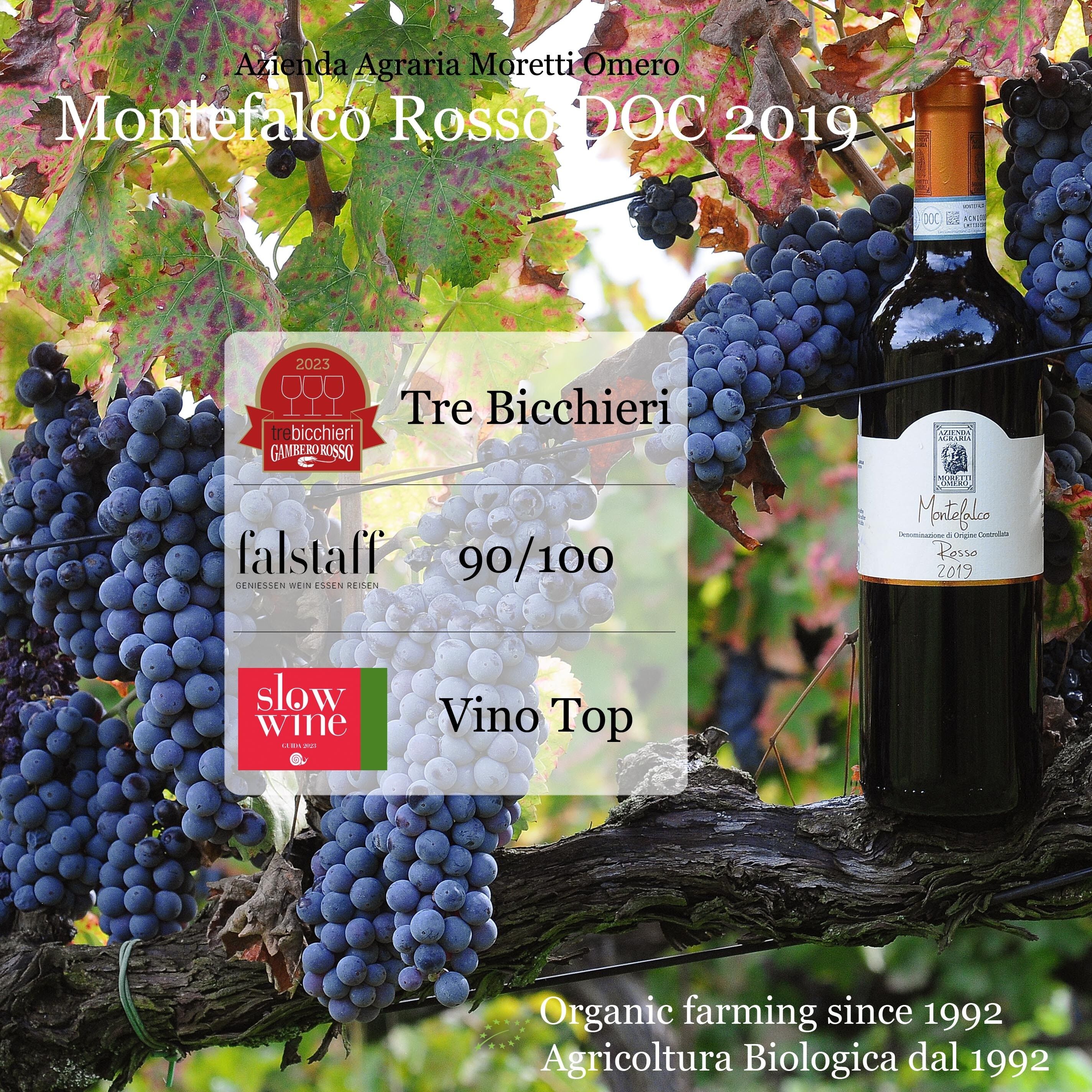 MONTEFALCO ROSSO DOC BIOLOGICO 2022