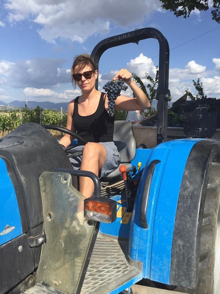 MONTEFALCO SAGRANTINO DOCG BIOLOGICO 2020
