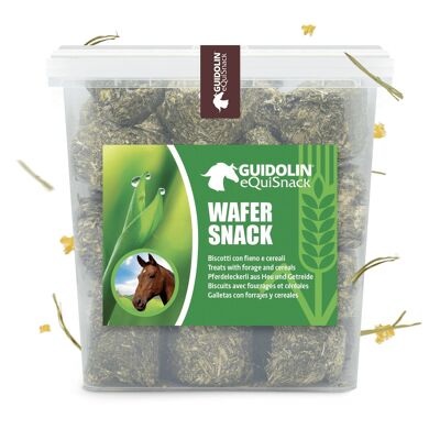 Biscuits au foin et aux céréales pour chevaux | Fabriqué en Italie 2,5 kg