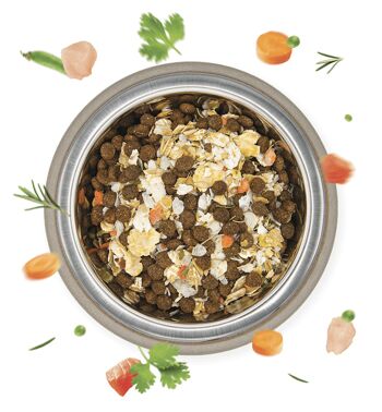 Herbes complètes diététiques | Aliment complet pour chiens, fabriqué en Italie 2 kg 2