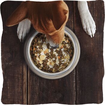 Herbes complètes diététiques | Aliment complet pour chiens, fabriqué en Italie 2 kg 3