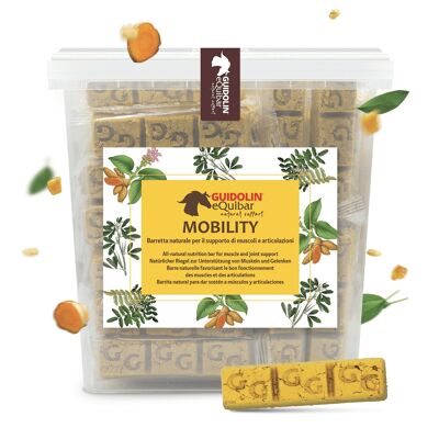 Mobilité | Snack naturel pour chevaux soutien articulaire 2,5 kg