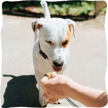 Biscuits pour chien à la sauge | Haleine agréable, sans sucres ajoutés 350 g 3