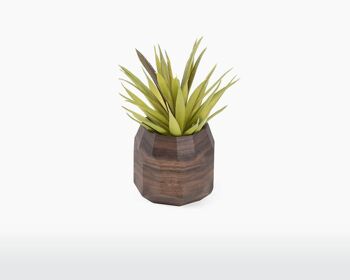 Geometric plant pot - Walnut 1