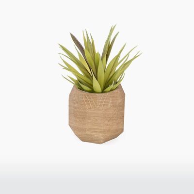 Geometric plant pot - Oak