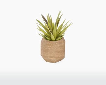 Geometric plant pot - Oak 1