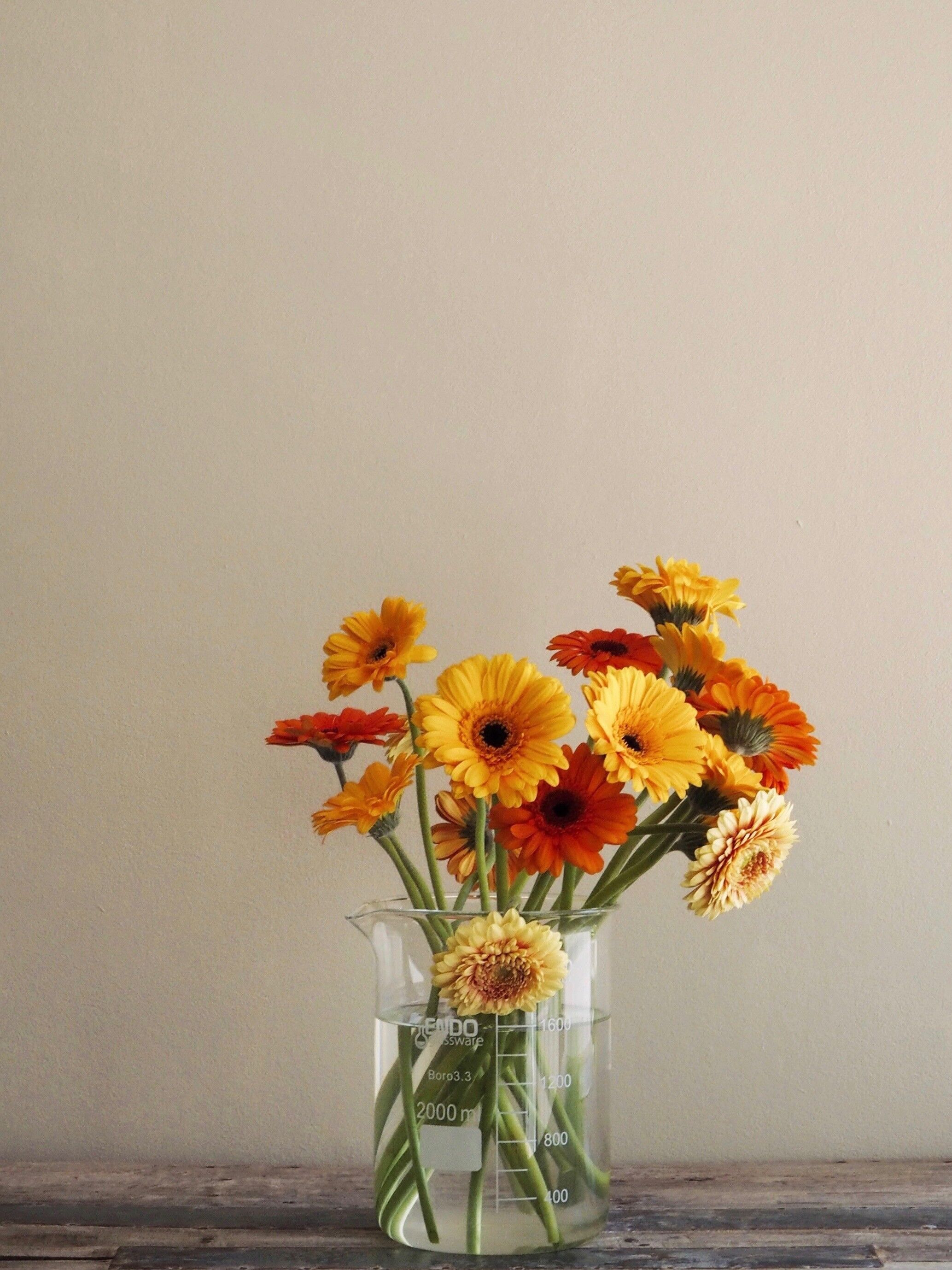 VASO GRANDE VETRO POCO FONDENTE