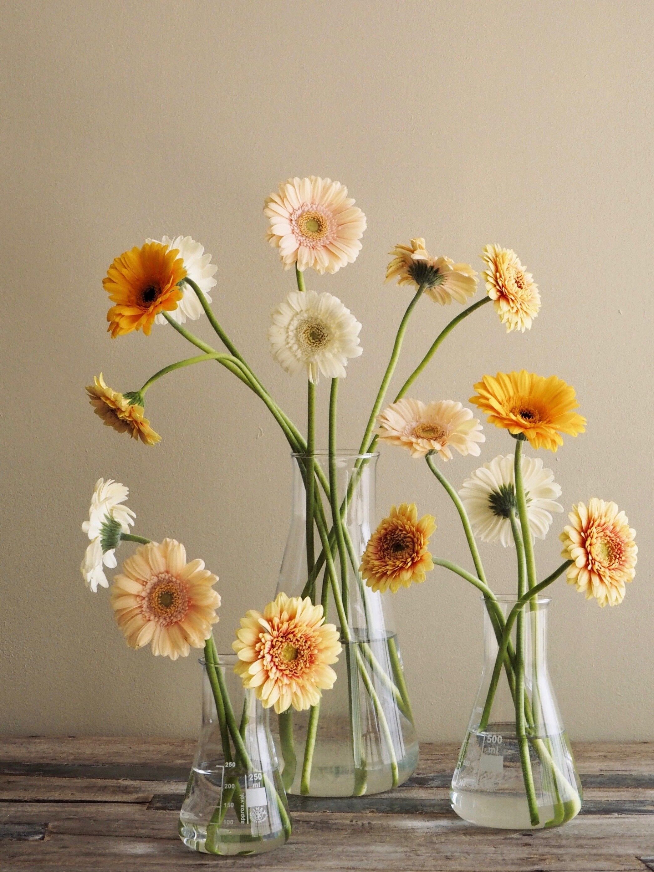 VASO FLACONE GRANDE A COLLO LARGO