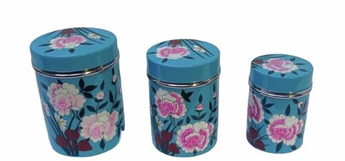 set de boîte à thé en inox brin bleu