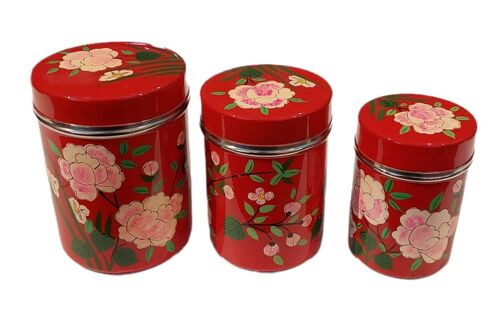 set de boîte à thé en inox brin rouge