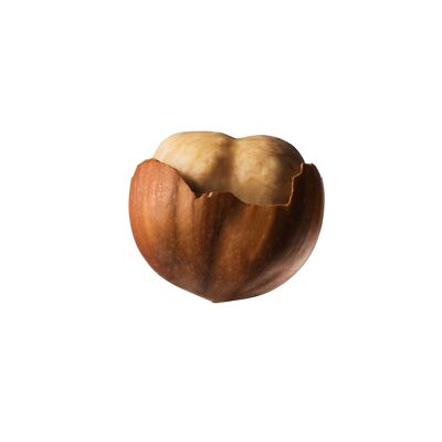 TONDA GENTILE HAZELNUTS FROM PIEDMONT 1KG