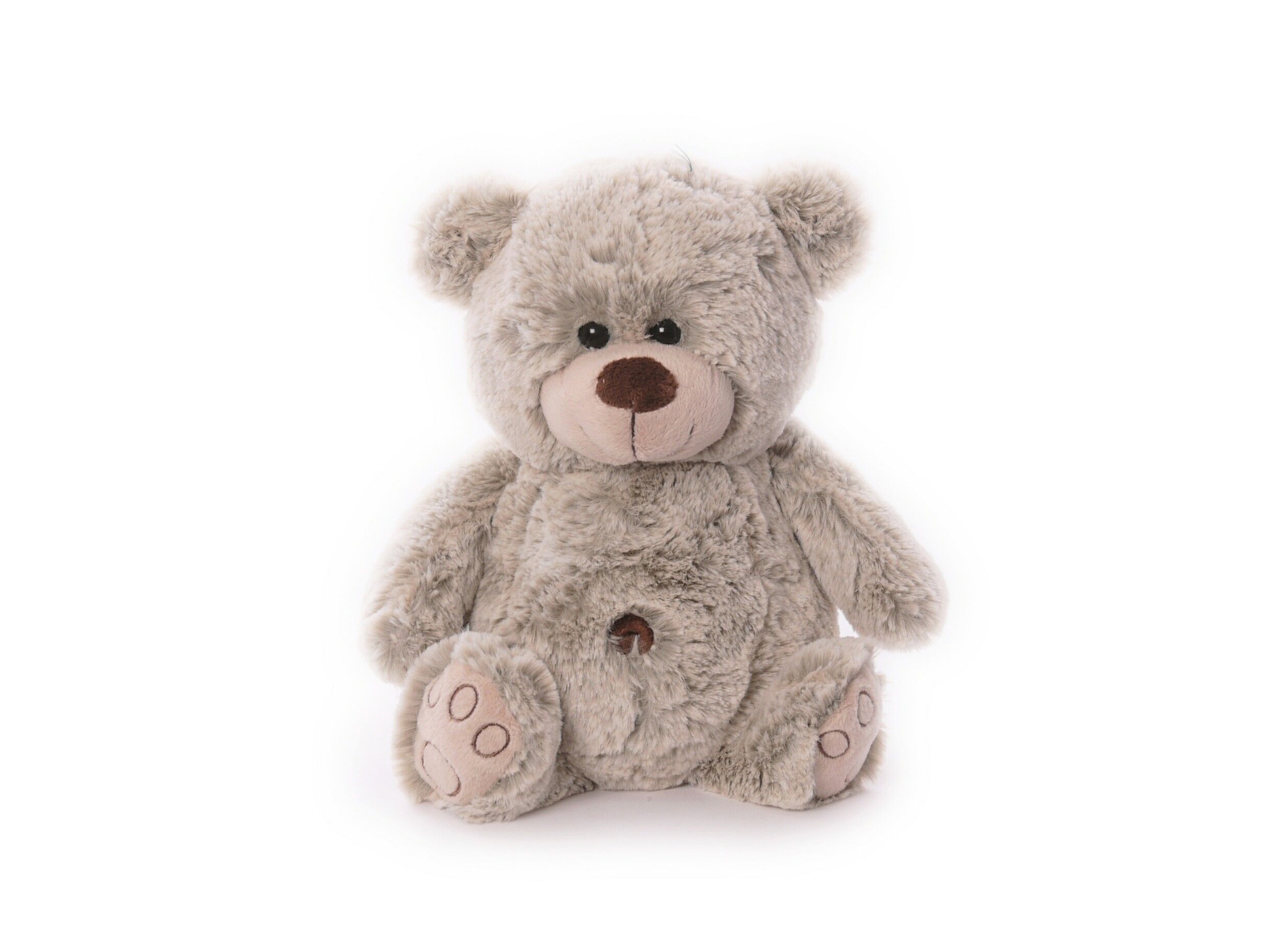 Orso della fortuna seduto