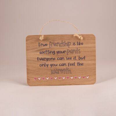 Printed Plaque True Freindship, 240x175x4mm