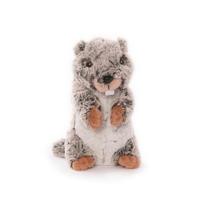 Marmot in piedi 20 cm grigio bicolore