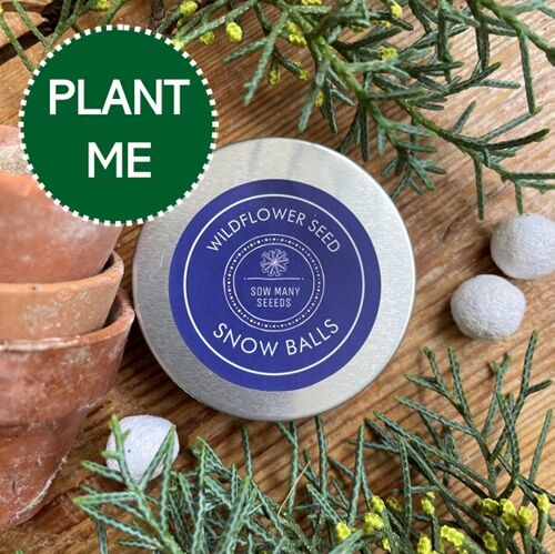 Seed Bomb Snowballs Wildflower Mix Tin | Christmas Stocking Filler Gift for Gardeners