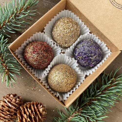 Plantable Seed Bomb Bon Bon Gardeners Christmas Seed Gift