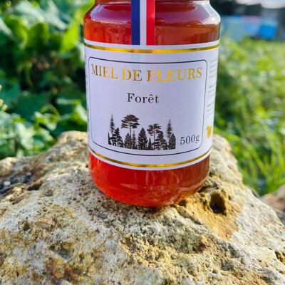 Miel de forêt de France 500G