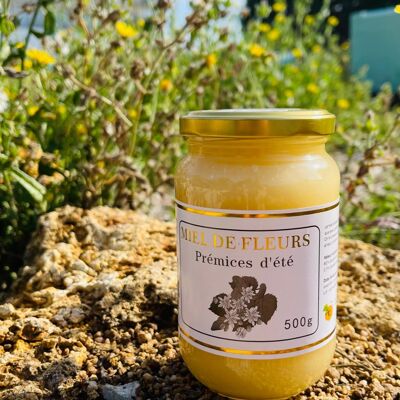 Miel de Primeros Frutos de Verano 500G (Linden) de Francia