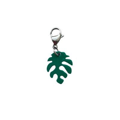 Monstera Charm