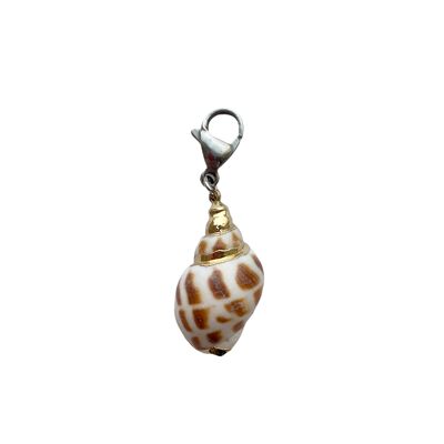 Real Conch Shell Charm