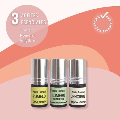 Naturexperience I Conscience et vitalité