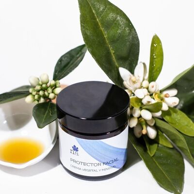 Solar face cream with vegetable and mineral protection